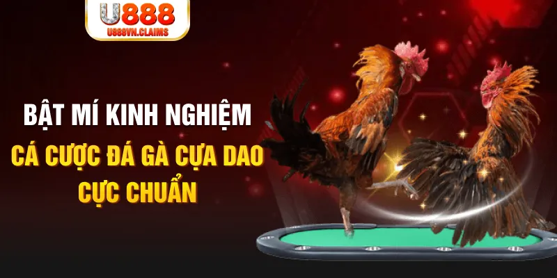 ca xeng trong baccarat, ai là người chia bài chính？