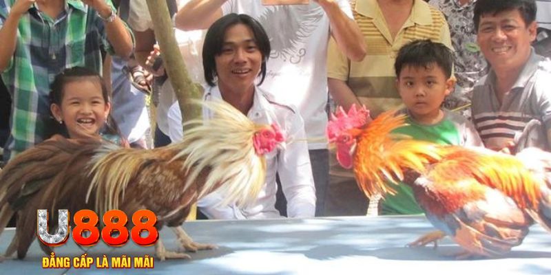 ca xeng mơ thấy nổ hũ đánh con gì