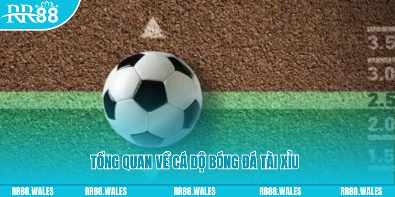 ca xeng JDB Điện Tử