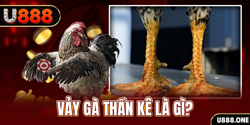 ca xeng xổ số miền bắc thứ tư hàng tuần