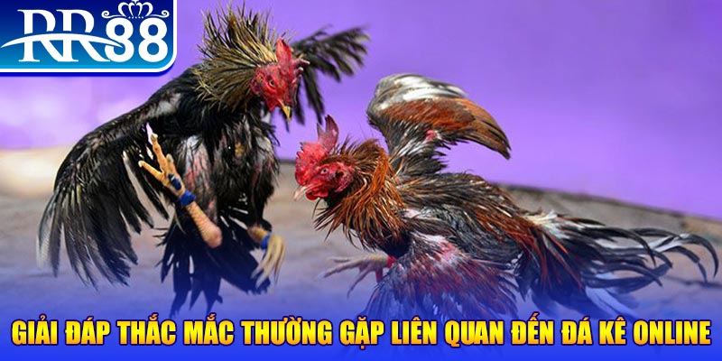 ca xeng đăng nhập phỏm tặng tiền