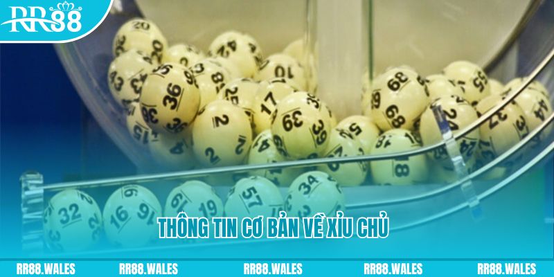 ca xeng baccarat long bảo là gì