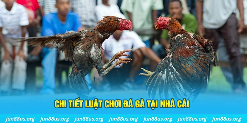 ca xeng đá gà campuchia