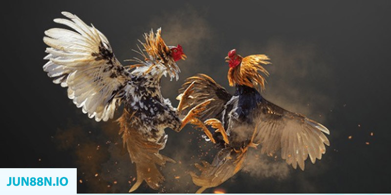 ca xeng đăng nhập sòng bạc miễn phí