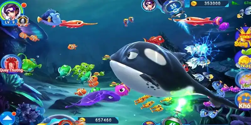 ca xeng truc tiep da ga