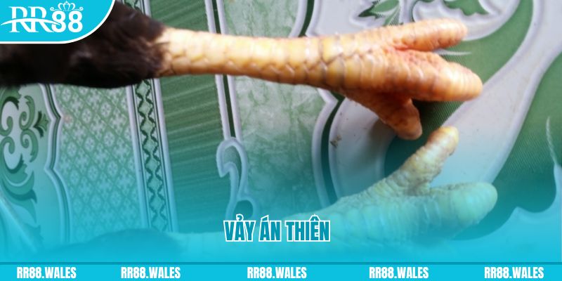 ca xeng who wants to be a millionaire slot