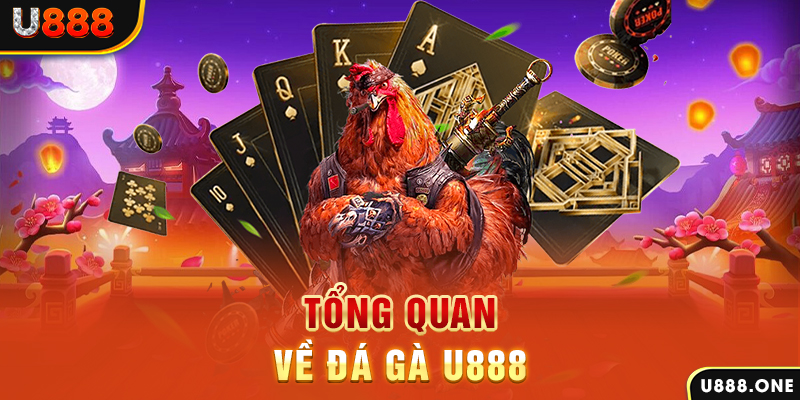 ca xeng baccarat có lừa đảo không