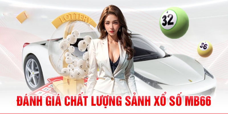 ca xeng 789bet có bao nhiêu sảnh game bài 3d ？